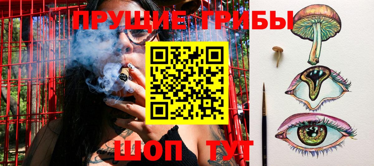 Галлюциногенные грибы MAGIC MUSHROOMS Ленинск-Кузнецкий